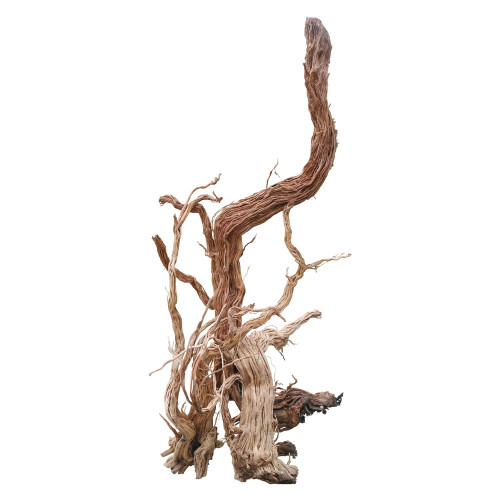 خشب من لنوع Azalea Wood حجم XXXL (معالج) خشب من لنوع Azalea Wood حجم XXXL (معالج)