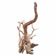خشب من لنوع Azalea Wood حجم XXXL (معالج) خشب من لنوع Azalea Wood حجم XXXL (معالج)