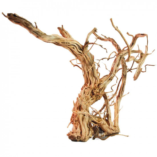 خشب من لنوع Azalea Wood حجم XXXL (معالج) خشب من لنوع Azalea Wood حجم XXXL (معالج)