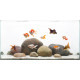 صخور ملساء بأحجام وألوان مختلفة - Smooth round boulders صخور ملساء بأحجام وألوان مختلفة - Smooth round boulders