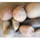 صخور ملساء بأحجام وألوان مختلفة - Smooth round boulders صخور ملساء بأحجام وألوان مختلفة - Smooth round boulders