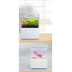 الحوض الكيوت المميز مع فلتر وإضاءة USB من شركة - QANVEE CUTE aquarium الحوض الكيوت المميز مع فلتر وإضاءة USB من شركة - QANVEE CUTE aquarium