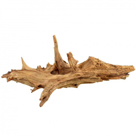 خشب الحظ المميز باللون الخشبي الفاتح - Lucky Wood Stump خشب الحظ المميز باللون الخشبي الفاتح - Lucky Wood Stump