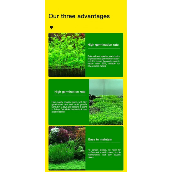 دكتور تانك تربة سماد 2 لتر عادي - DR:Tank normal Soil 2L دكتور تانك تربة سماد 2 لتر عادي - DR:Tank normal Soil 2L