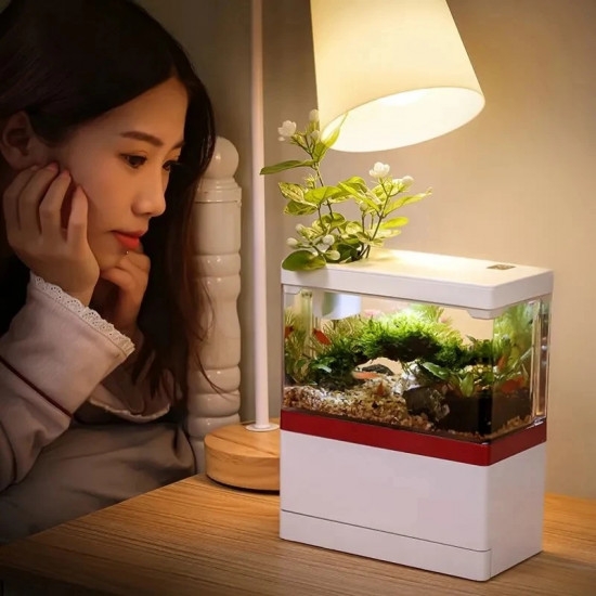 الحوض الكيوت كامل صغير مميز مع فلتر وإضاءة USB من شركة - Zaohetian aquarium size 1 الحوض الكيوت كامل صغير مميز مع فلتر وإضاءة USB من شركة - Zaohetian aquarium size 1