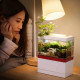 الحوض الكيوت كامل صغير مميز مع فلتر وإضاءة USB من شركة - Zaohetian aquarium size 1 الحوض الكيوت كامل صغير مميز مع فلتر وإضاءة USB من شركة - Zaohetian aquarium size 1