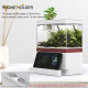 الحوض الكيوت كامل صغير مميز مع فلتر وإضاءة USB من شركة - Zaohetian aquarium size 1 الحوض الكيوت كامل صغير مميز مع فلتر وإضاءة USB من شركة - Zaohetian aquarium size 1