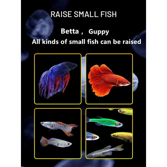 الحوض الكيوت كامل صغير مميز مع فلتر وإضاءة USB من شركة - Zaohetian aquarium size 1 الحوض الكيوت كامل صغير مميز مع فلتر وإضاءة USB من شركة - Zaohetian aquarium size 1