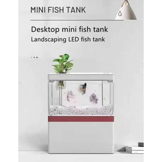 الحوض الكيوت كامل صغير مميز مع فلتر وإضاءة USB من شركة - Zaohetian aquarium size 1 الحوض الكيوت كامل صغير مميز مع فلتر وإضاءة USB من شركة - Zaohetian aquarium size 1