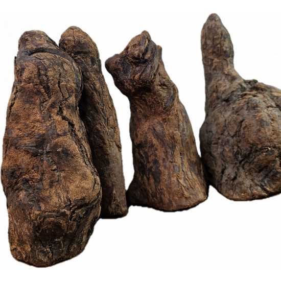 الخشب النادر بشكل شبيه بالصخور - Feeding Hill wood الخشب النادر بشكل شبيه بالصخور - Feeding Hill wood