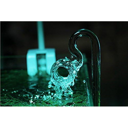 ليلي بايب من الزجاج عالي الجودة قطعتين برأس مدور ومفرغ - Lily Pipe Glass ليلي بايب من الزجاج عالي الجودة قطعتين برأس مدور ومفرغ - Lily Pipe Glass