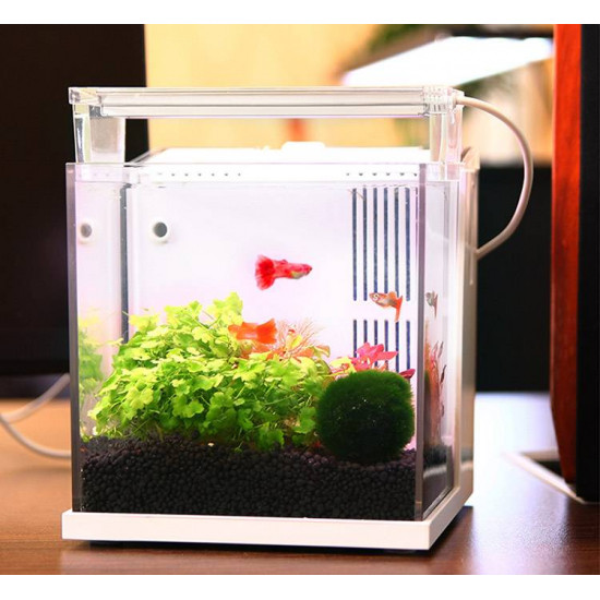 حوض كامل صغير مميز مع فلتر وإضاءة USB من شركة - QANVEE aquarium حوض كامل صغير مميز مع فلتر وإضاءة USB من شركة - QANVEE aquarium