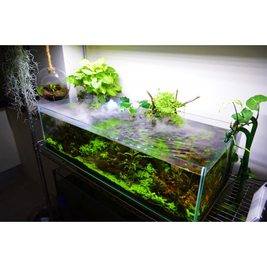 حوض زجاجي سوبر كلير حجم 120x45x20 سم - Shallow aquarium حوض زجاجي سوبر كلير حجم 120x45x20 سم - Shallow aquarium