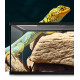 حوض زجاجي مع غطاء أسود لزواحف بحجم صغير ووسط - vivarium aquarium