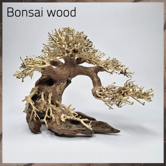 خشب من النوع Bonsai wood مجسم رقم 3