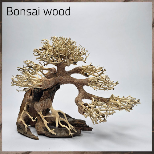 خشب من النوع Bonsai wood مجسم رقم 10