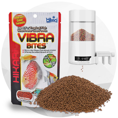 غذاء الاسماك