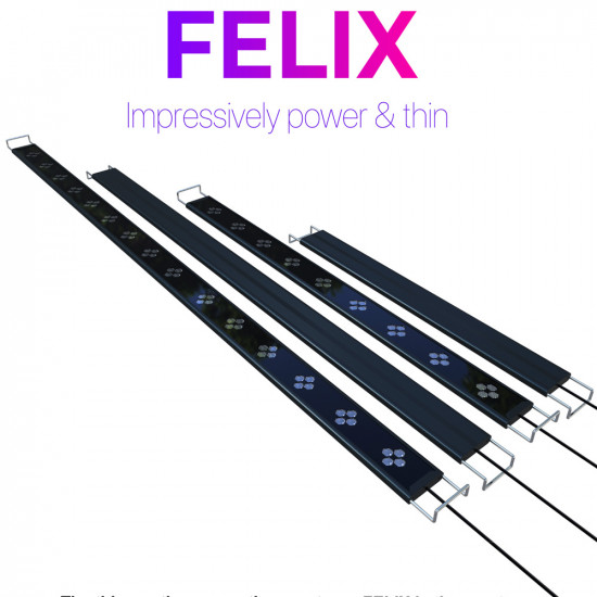 إضاءة فليكس LED مع خاصية WIFI بتحكم كامل وذكي وتصميم عصري بحجم 60سم - MicMol FELIX إضاءة فليكس LED مع خاصية WIFI بتحكم كامل وذكي وتصميم عصري بحجم 60سم - MicMol FELIX