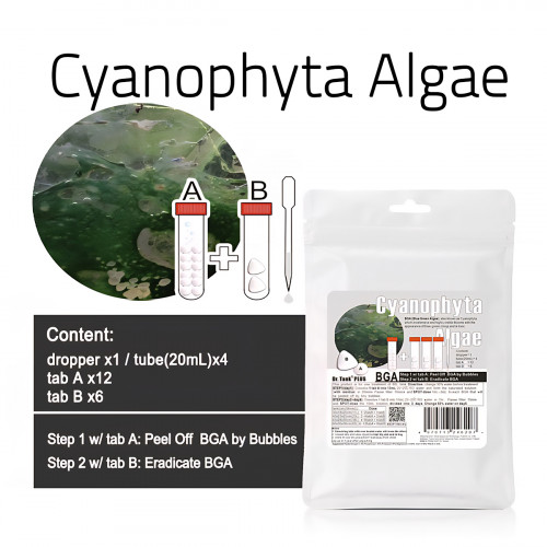 مكافح الطحالب العنيدة الزرقاء المخضرة - Cyanophyta Algae