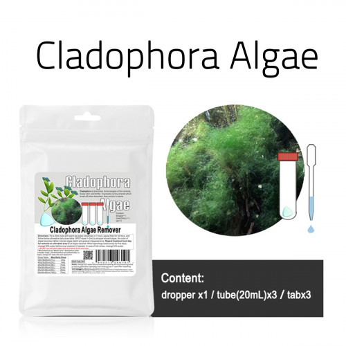 مكافح الطحالب العنيدة الشعر الأخضر - Cladophora Algae