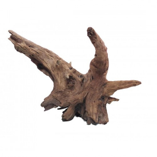 خشب متحجر من النوع Bogwood مقاس وسط وكبير (معالج)