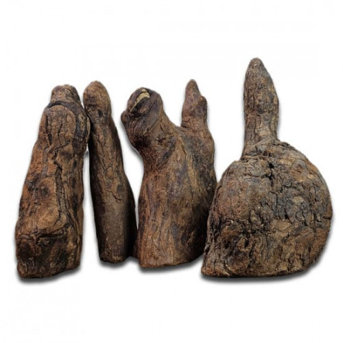 خشب شبيه بالصخور - Feeding Hill wood