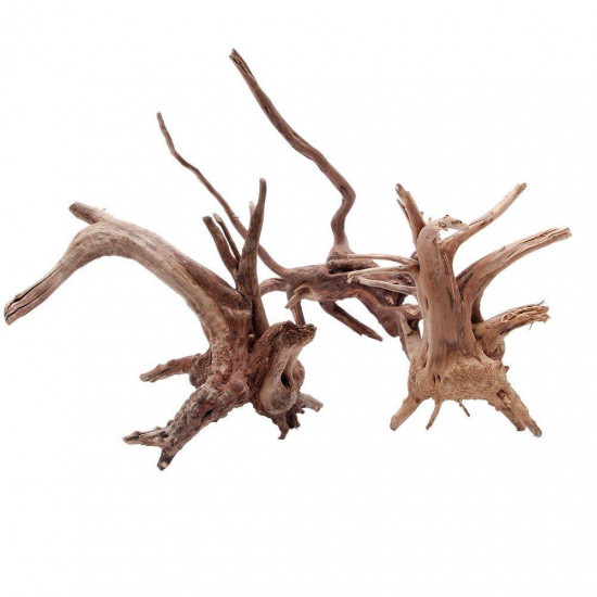 خشب متحجر من النوع Driftwood حجم M ( معالج )