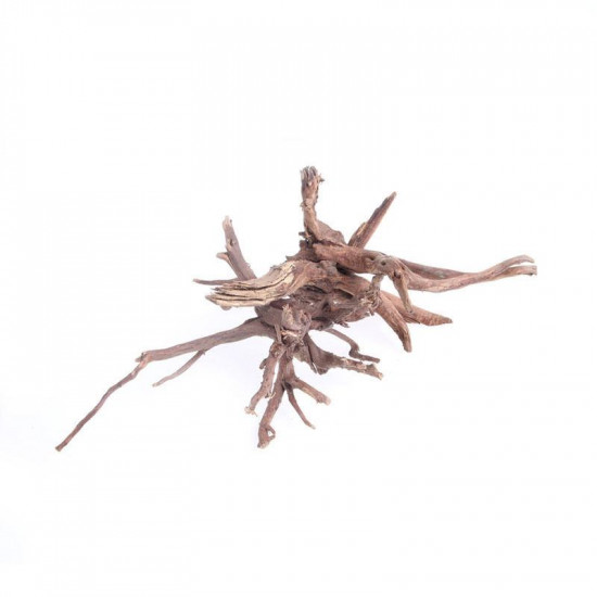 خشب متحجر من النوع Driftwood حجم M ( معالج )
