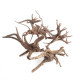 خشب متحجر من النوع Driftwood حجم S ( معالج ) خشب متحجر من النوع Driftwood حجم S ( معالج )