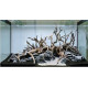 خشب متحجر من النوع Driftwood حجم S ( معالج ) خشب متحجر من النوع Driftwood حجم S ( معالج )