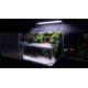 حوض زجاجي بولداريوم حجم 120x50x22 سم - PALUDARIUM Tank حوض زجاجي بولداريوم حجم 120x50x22 سم - PALUDARIUM Tank