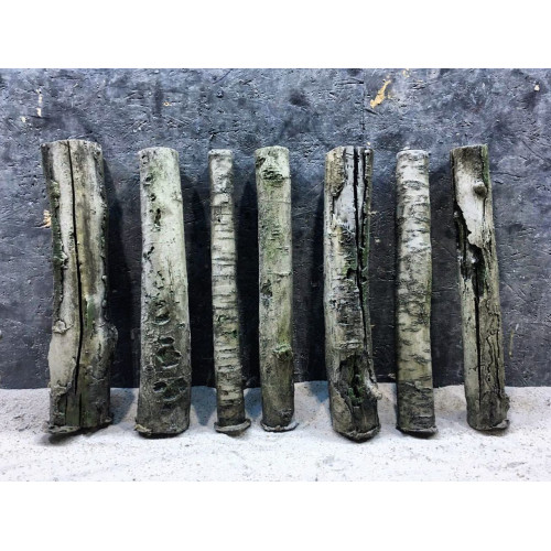 أخشاب ساق طبيعية لتصميم حوضك ثلاثي الأبعاد - Straight Wood أخشاب ساق طبيعية لتصميم حوضك ثلاثي الأبعاد - Straight Wood