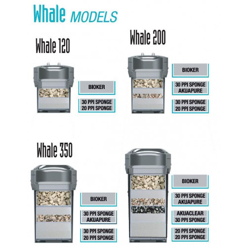 فلتر خارجي صناعة إيطالية لحجم 500 لتر - WHALE Canister filters فلتر خارجي صناعة إيطالية لحجم 500 لتر - WHALE Canister filters