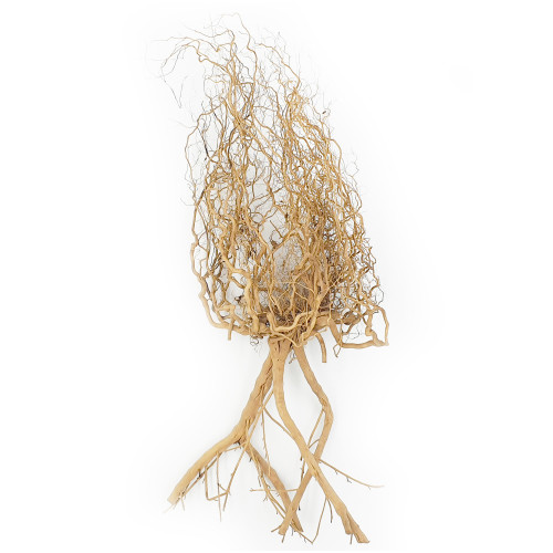 خشب متحجر من النوع Whiskers Wood لتصميم الأحواض الصغيرة خشب متحجر من النوع Whiskers Wood لتصميم الأحواض الصغيرة