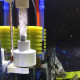 أداة تفريخ بيض الأسماك حجم وسط وكبير - Brine fish incubator أداة تفريخ بيض الأسماك حجم وسط وكبير - Brine fish incubator
