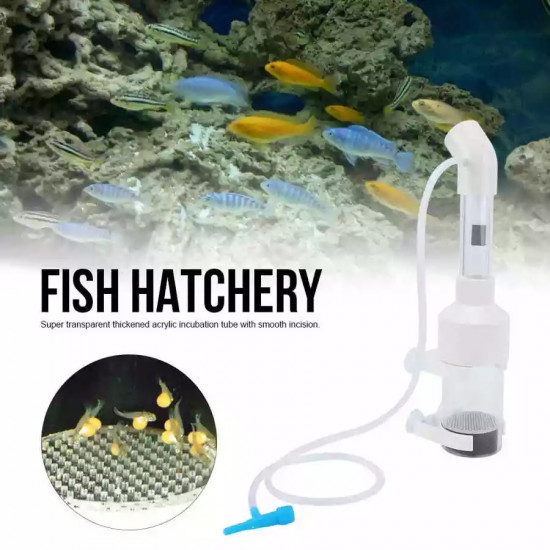 أداة تفريخ بيض الأسماك حجم وسط وكبير - Brine fish incubator أداة تفريخ بيض الأسماك حجم وسط وكبير - Brine fish incubator