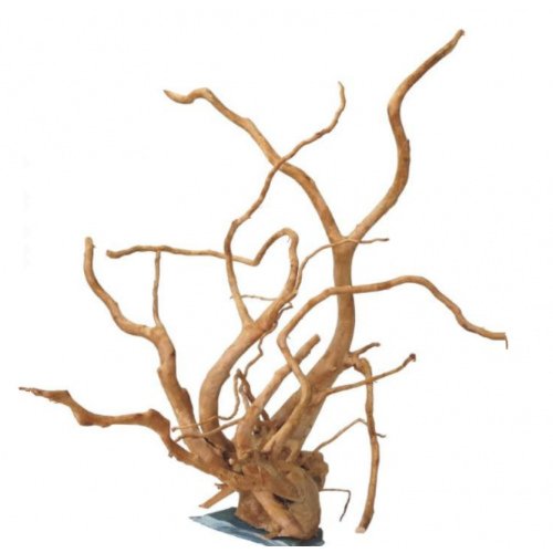 خشب متحجر من النوع Driftwood مع قاعدة من الصخر لتثبيتها على القاع خشب متحجر من النوع Driftwood مع قاعدة من الصخر لتثبيتها على القاع