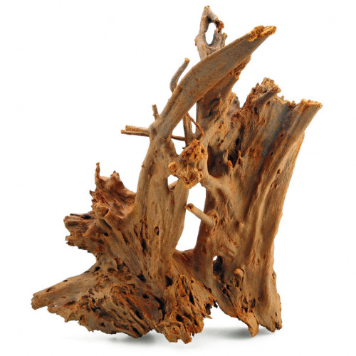 خشب المنجروف الصلب باللون الخشبي المحمر - Mangrove Driftwood خشب المنجروف الصلب باللون الخشبي المحمر - Mangrove Driftwood