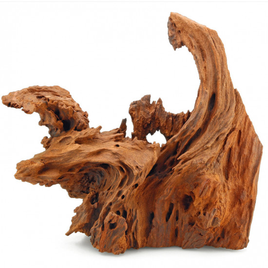 خشب المنجروف الصلب باللون الخشبي المحمر - Mangrove Driftwood خشب المنجروف الصلب باللون الخشبي المحمر - Mangrove Driftwood