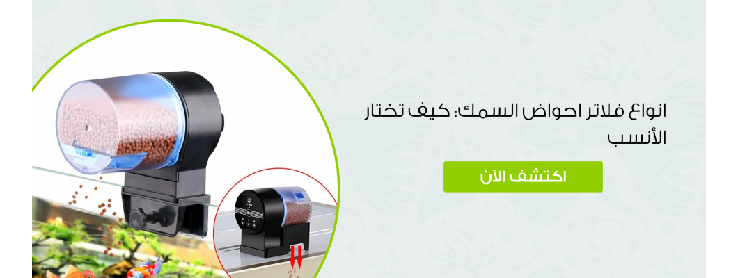 انواع فلاتر احواض السمك: كيف تختار الأنسب