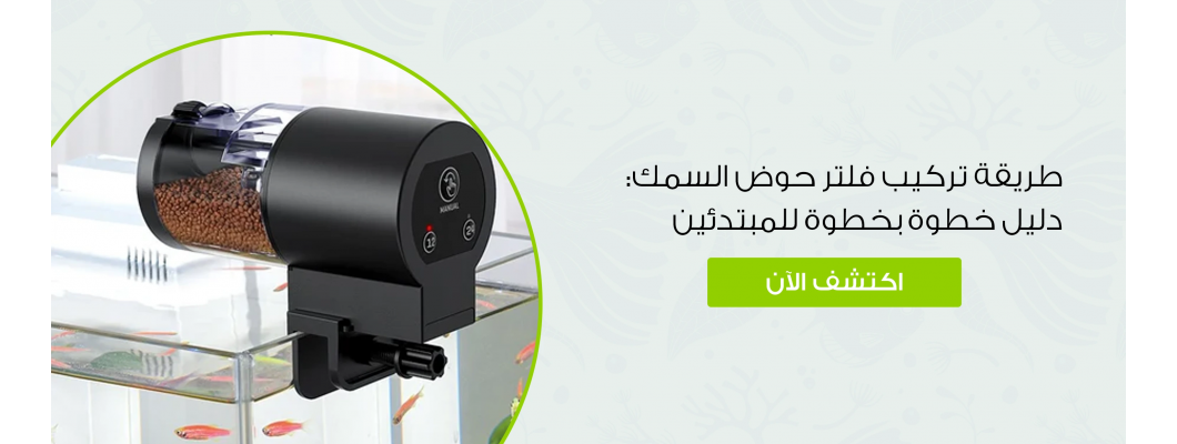 طريقة تركيب فلتر حوض السمك: دليل خطوة بخطوة للمبتدئين طريقة تركيب فلتر حوض السمك: دليل خطوة بخطوة للمبتدئين
