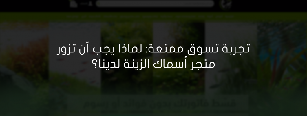 أهم النصائح لشراء مستلزمات أسماك الزينة من متجر متخصص