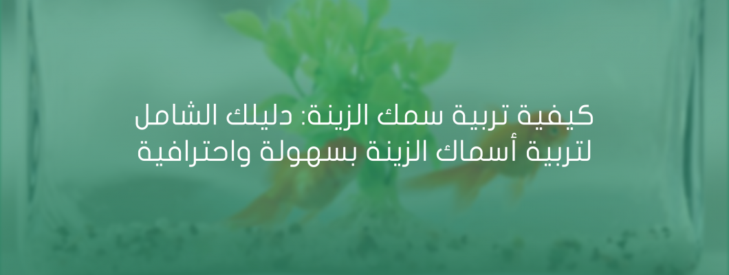 كيفية تربية سمك الزينة دليلك الشامل