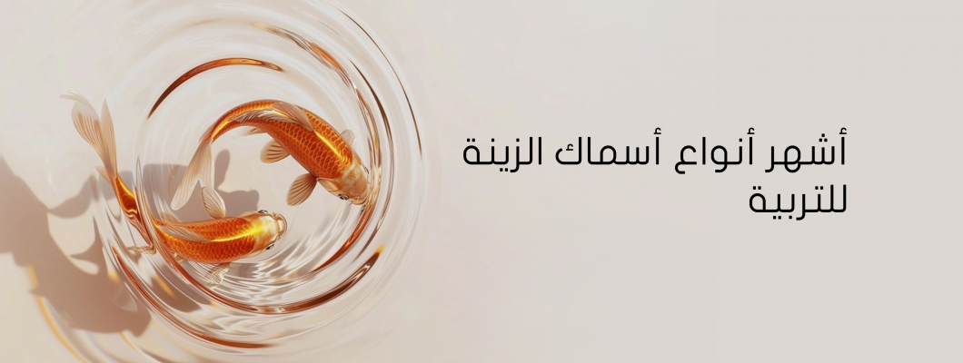 أشهر أنواع أسماك الزينة للتربية