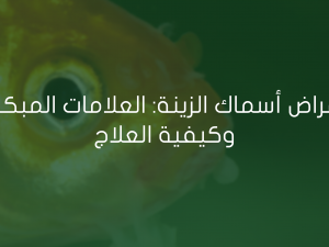 أمراض أسماك الزينة: العلامات المبكرة وكيفية العلاج