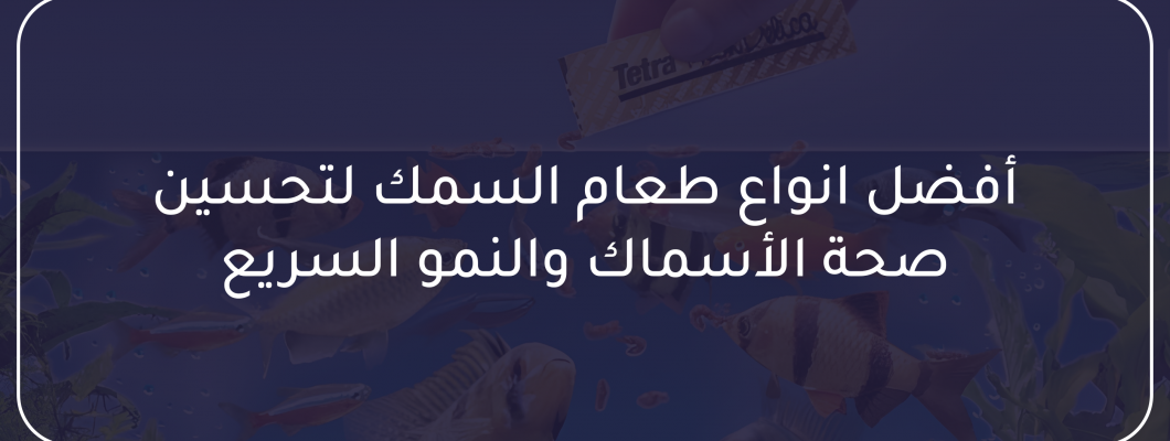 أفضل انواع طعام السمك لتحسين صحة الأسماك والنمو السريع