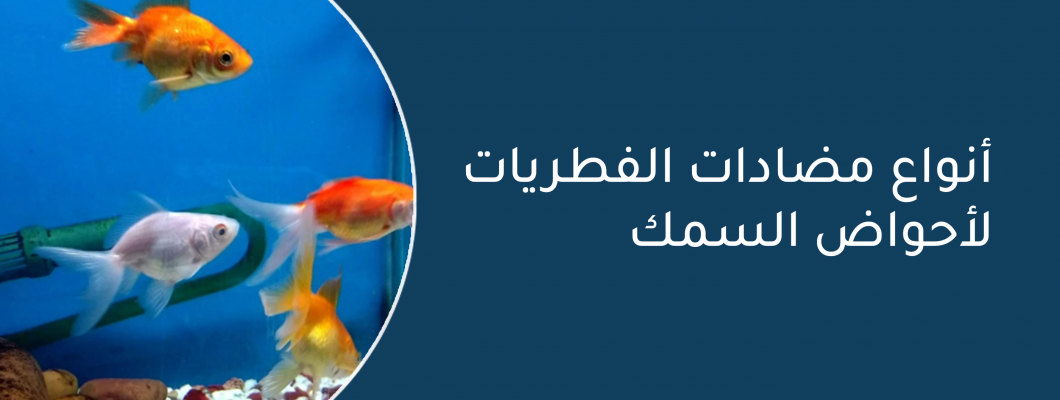 أنواع مضادات الفطريات لأحواض السمك