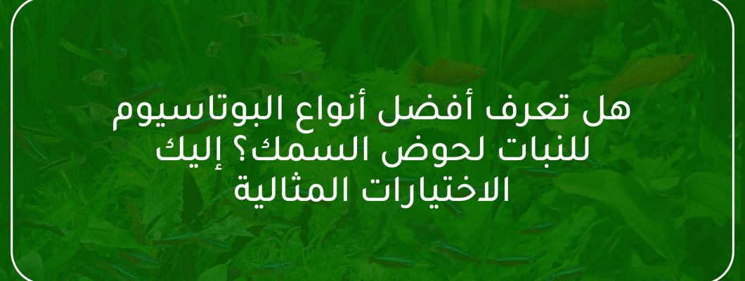 هل تعرف أفضل أنواع البوتاسيوم للنبات لحوض السمك؟