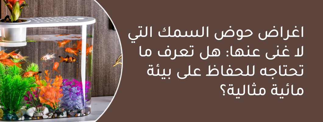 اغراض حوض السمك التي لا غنى عنها: هل تعرف ما تحتاجه؟