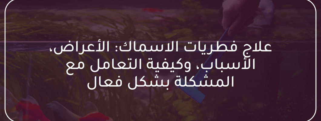 علاج فطريات الاسماك: الأعراض الأسباب وكيفية التعامل مع المشكلة